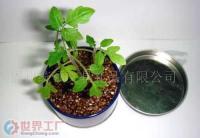 福州統(tǒng)領(lǐng)文具禮品丫丫小花園 高品質(zhì)禮品花卉銷(xiāo)售專家