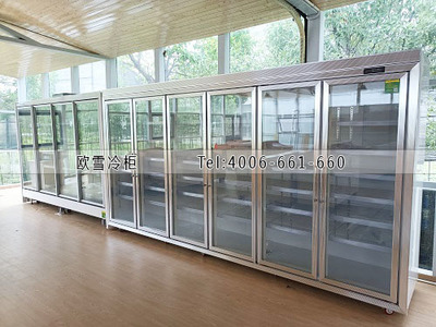 農(nóng)產(chǎn)品展銷(xiāo)配送中心食品冷藏冷凍展示柜選購(gòu)指南與禮品花卉銷(xiāo)售策略