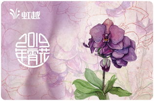 虹越黑五2019年宵花禮5折預(yù)售 一起動(dòng)手過(guò)新年，禮品花卉銷(xiāo)售引爆節(jié)日氛圍